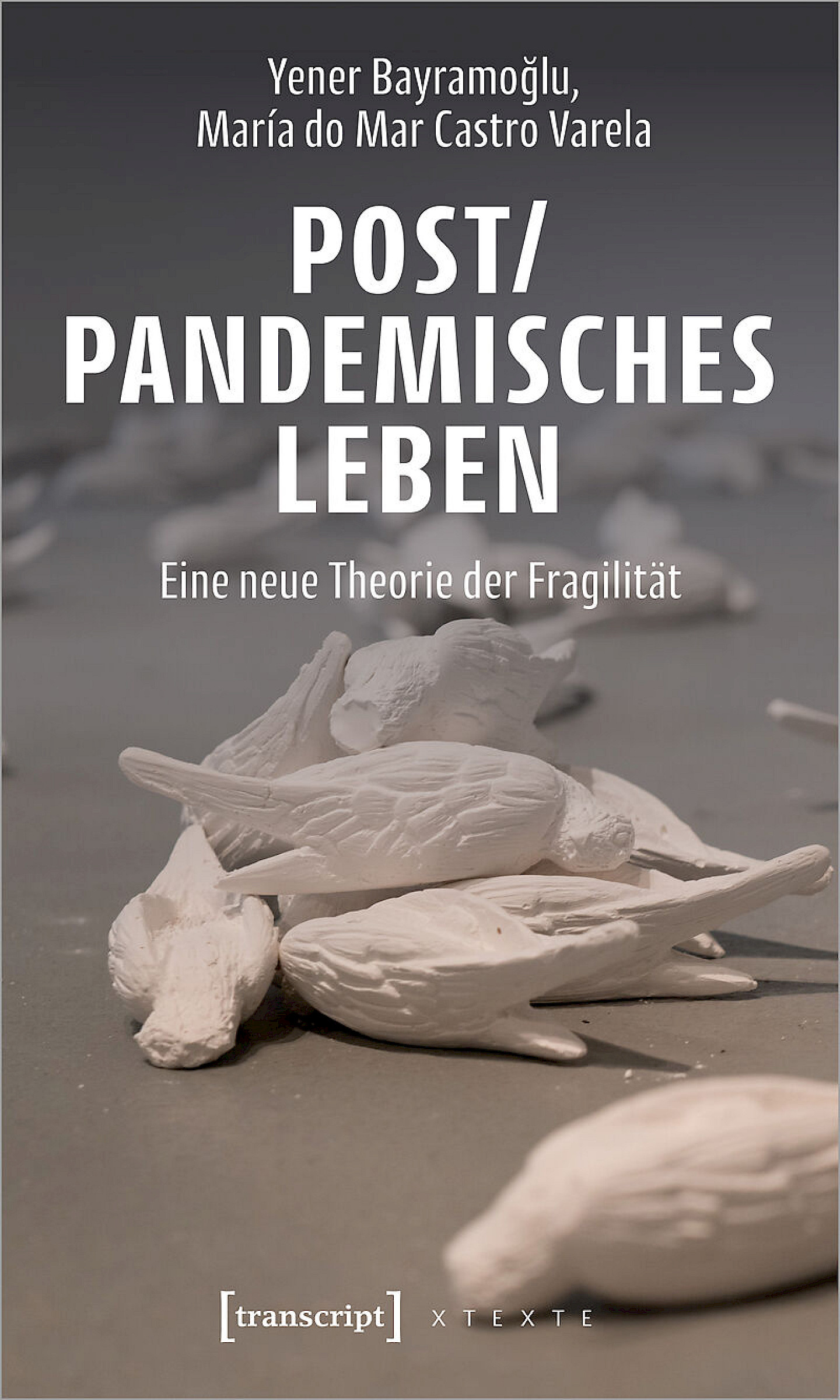 Post/pandemisches Leben – Eine neue Theorie der Fragilität