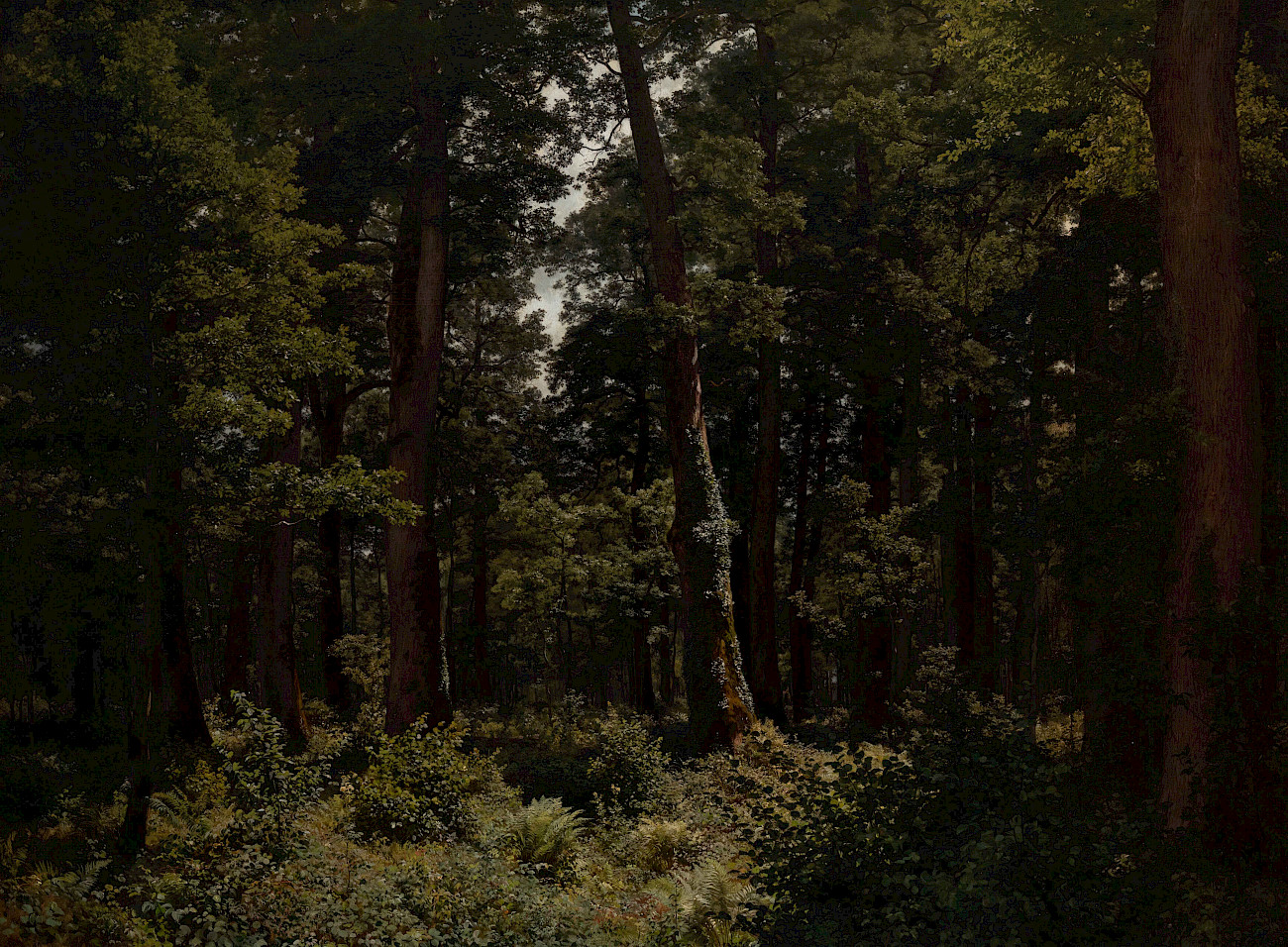 Robert Zünd malt den Eichenwald mehrmals fast identisch. Durch seinen akribischen Malstil nimmt er eine besondere Position in der Schweizer Landschaftsmalerei ein. © Kunstmuseum Luzern, Foto: Roberto Pellegrini