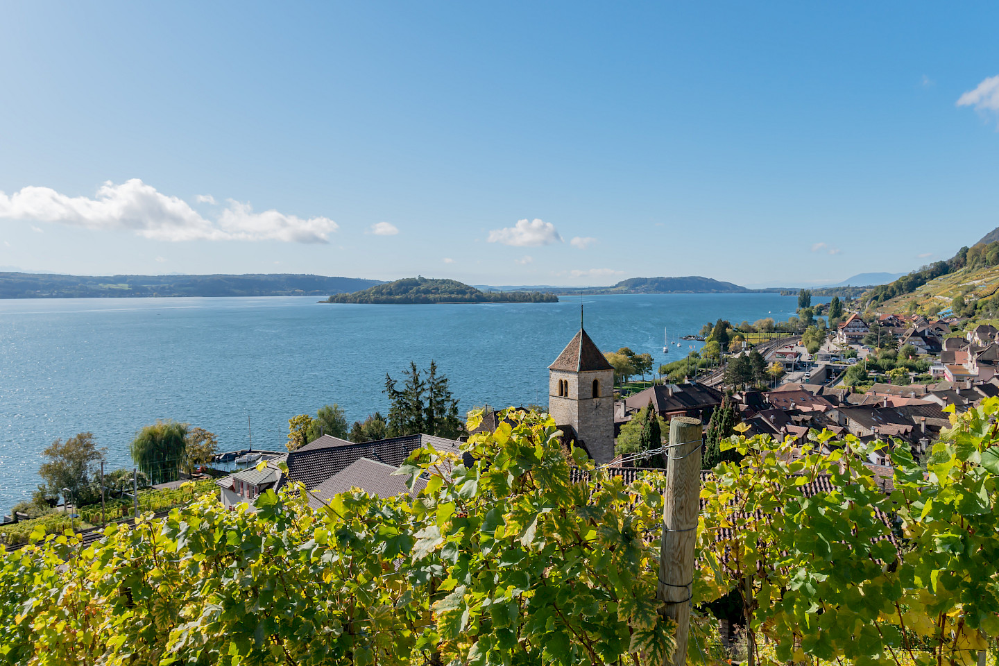 Schweizer Weingut des Jahres: vorzügliche Weine aus der Drei-Seen-Region