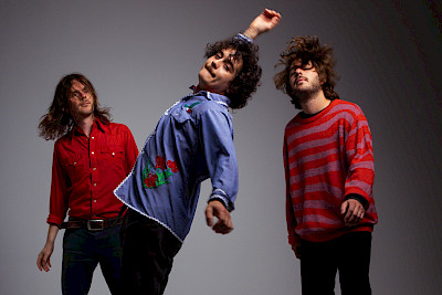 The Districts