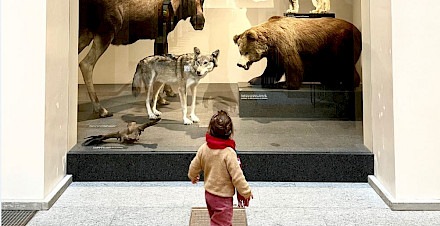 Mehr als ausgestopfte Tiere