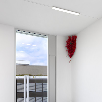 Julia Scher, Maximum Security Society, Kunsthalle Zürich, 2022, Bild: Annik Wetter