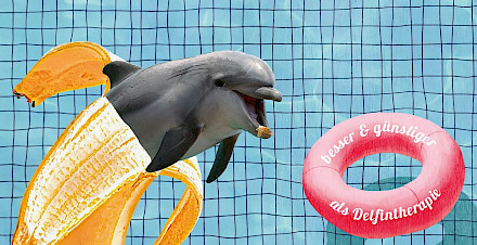 Literarische Tipps für September