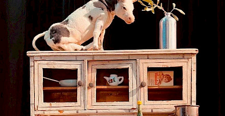 Theatertipps im April