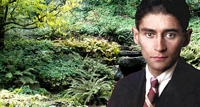 Franz Kafka: Der plötzliche Spaziergang