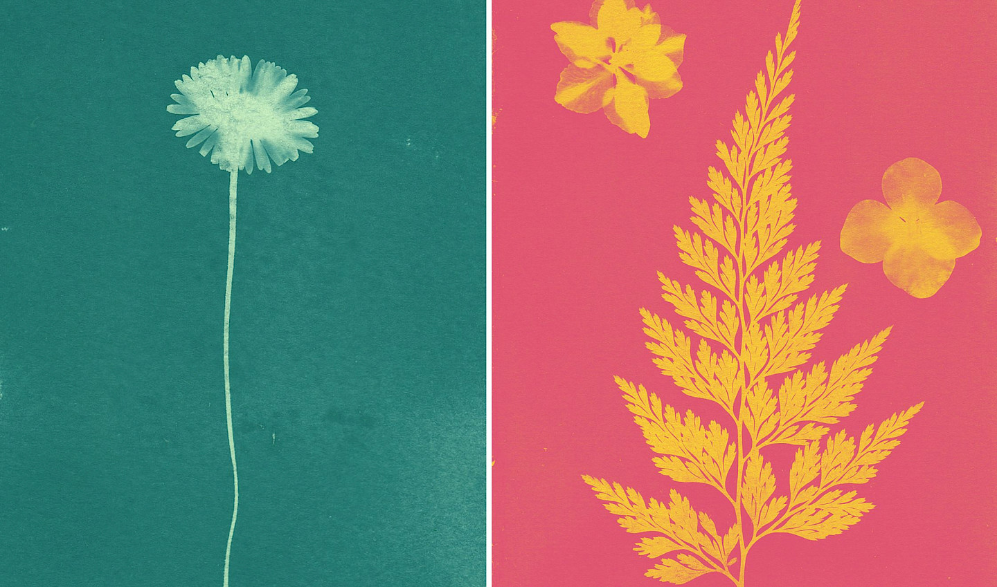 Familienworkshop: Malen mit Licht - Cyanotypie