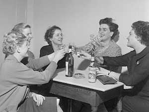 frauen-im-fokus.jpg