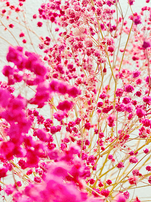 ©Philipp Keel, Full Bloom, 2021
