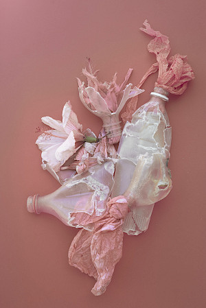 ©Thirza Schaap, Splash of Pink, 2017