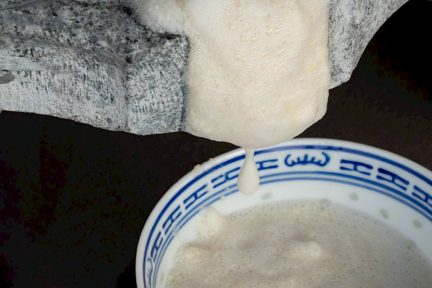 Tofu Workshop mit He Shen (mit Ni Daodao und Vanessa Bosch)