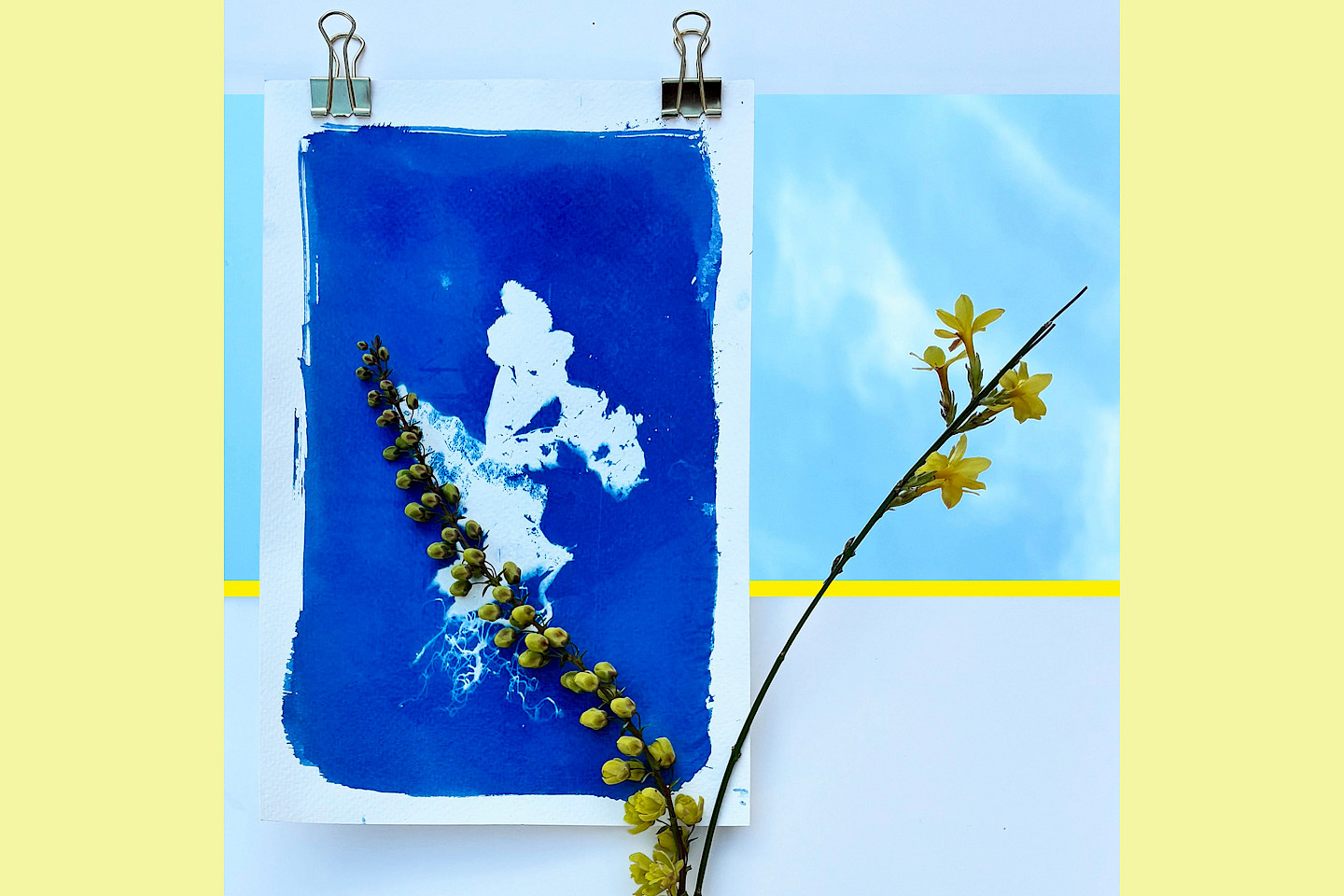 Open Workshop: ‘Cyanotype’