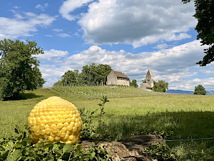 Micha Aregger, Grosser Succus. Die biomorphe Skulptur erinnert an natürliche Wachstumsformen.