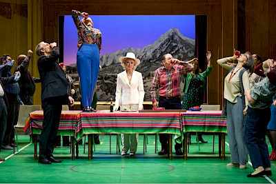 Der Besuch der alten Dame