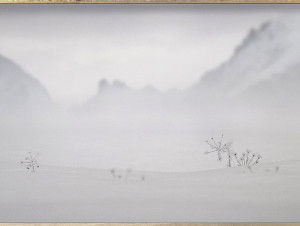 Casper Faassen, Engadine Flora V, 2026
