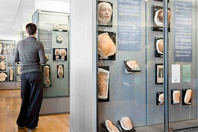 Moulagenmuseum+des+Universit%c3%a4tsspitals+und+der+Universit%c3%a4t+Z%c3%bcrich%2c+Foto%3a+Lukas+Linder