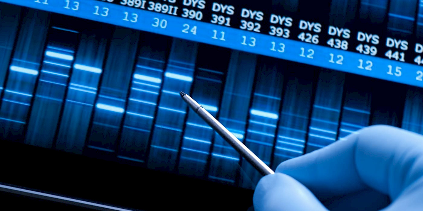 CRISPR-Cas: Precision in evolution