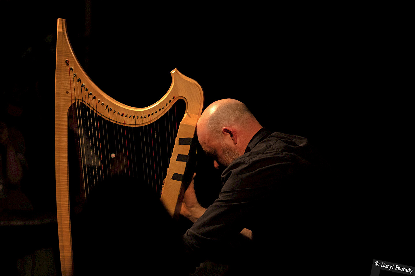 Rhodri Davies