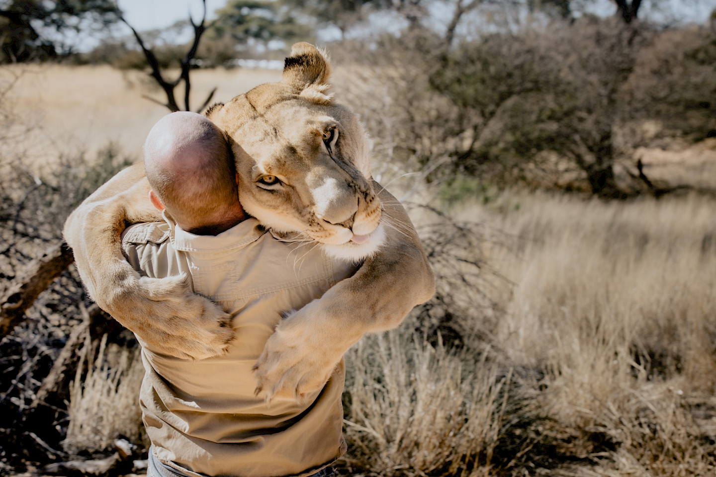 Löwenland - Leben mit Sirga in Botswana