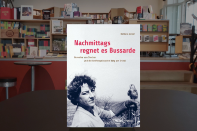 Barbara Geiser ● In the afternoon, buzzards are falling from the sky