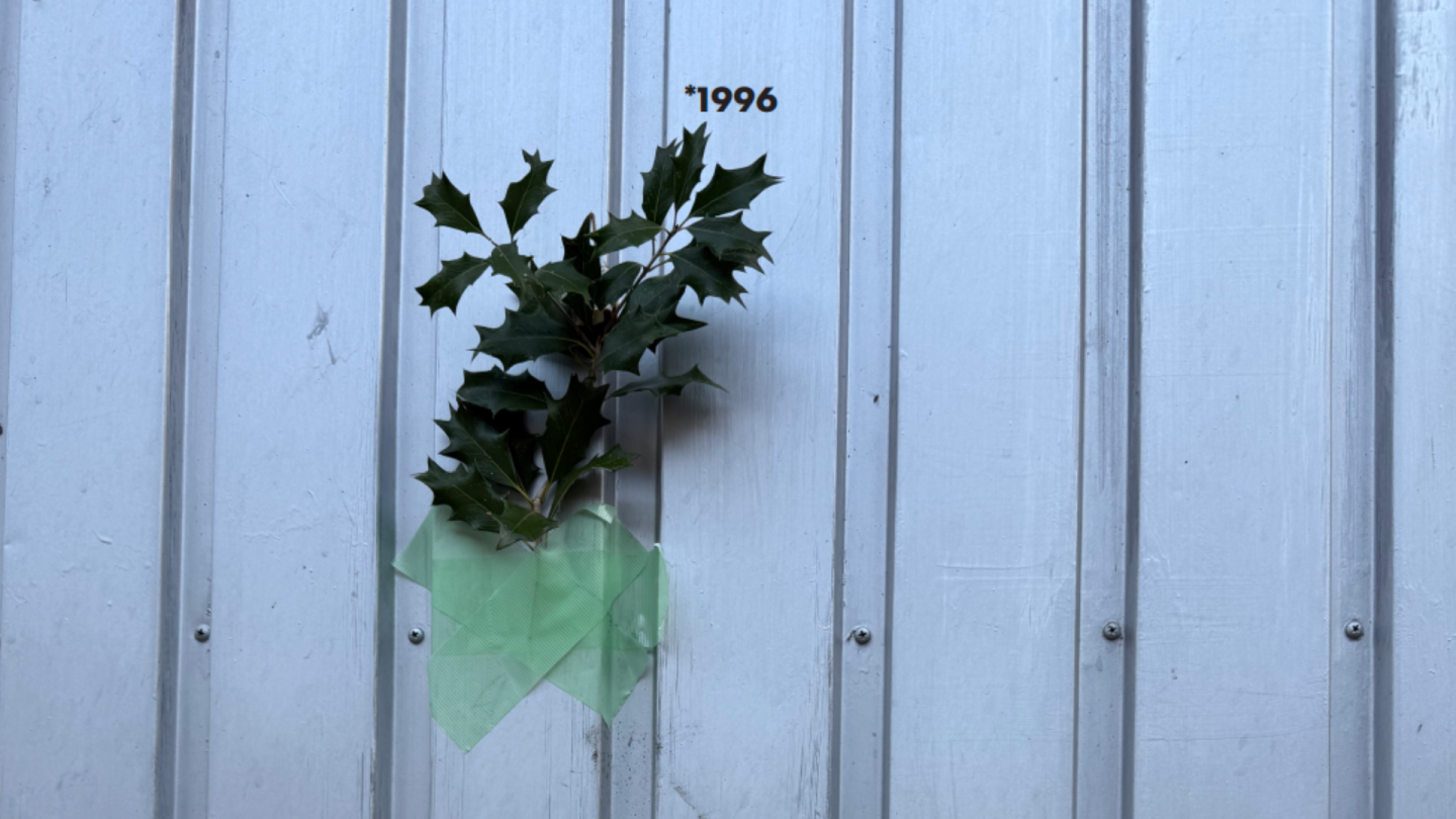 30 Jahre domizil