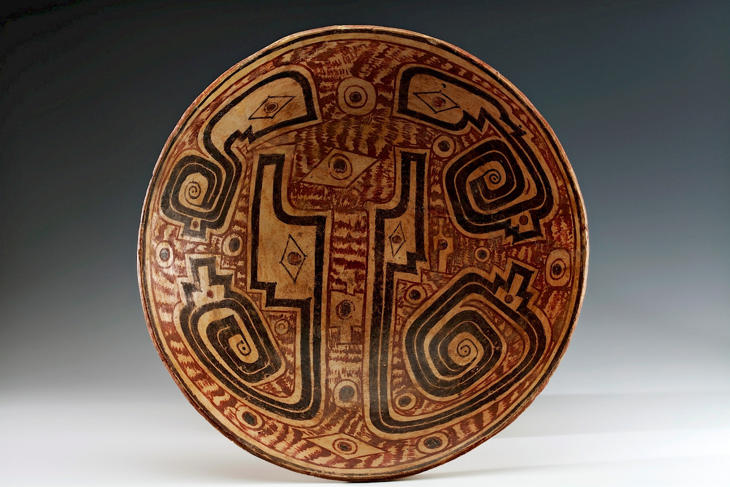 Special Guided Tour with the Curator: “Amazonian Legacies”