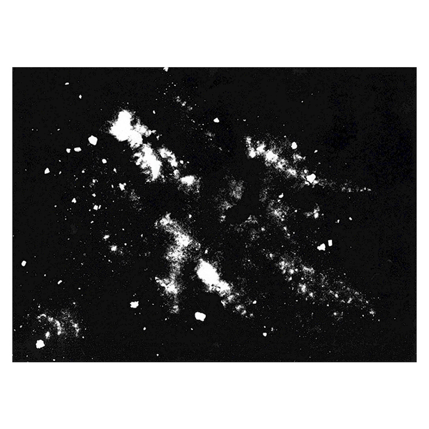Archiving the Universe