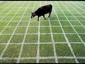 Andri Pol, Kuhlotto, Bad Zurzach, Schweiz, 1998, © Andri Pol / Fotostiftung Schweiz
