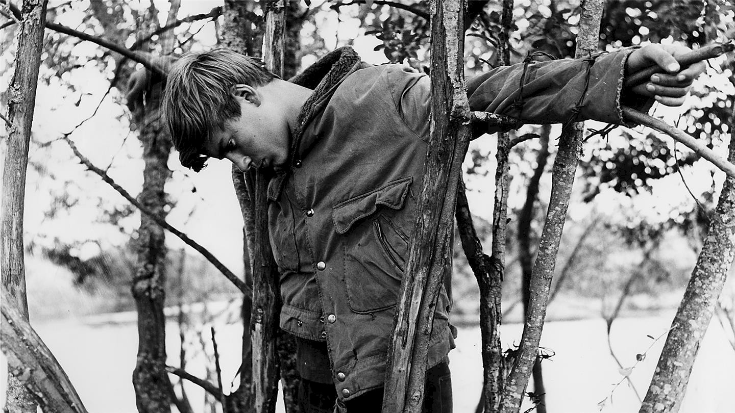 The Boy in the Tree (The Boy in the Tree)