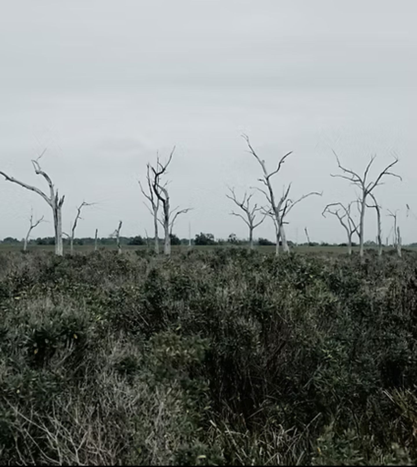 Eroding Grounds #2 GHOSTSCAPES